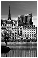 Saint-Louis island and Notre Dame. Paris, France ( black and white)