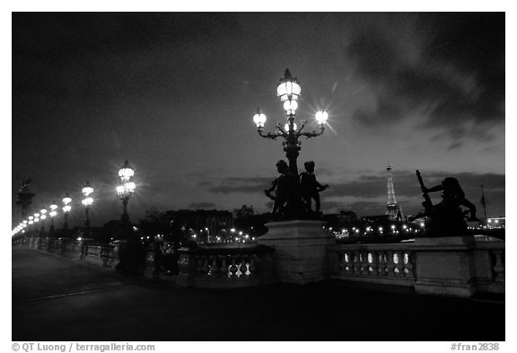 Pont Alexandre III at night. Paris, France (black and white)