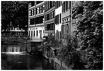 Half-timbered houses next to a canal. Strasbourg, Alsace, France ( black and white)