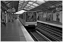 Aerial subway station. Paris, France ( black and white)