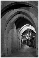 Rue Cros Mayerevielle through medieval Porte Narbornaise. Carcassonne, France ( black and white)