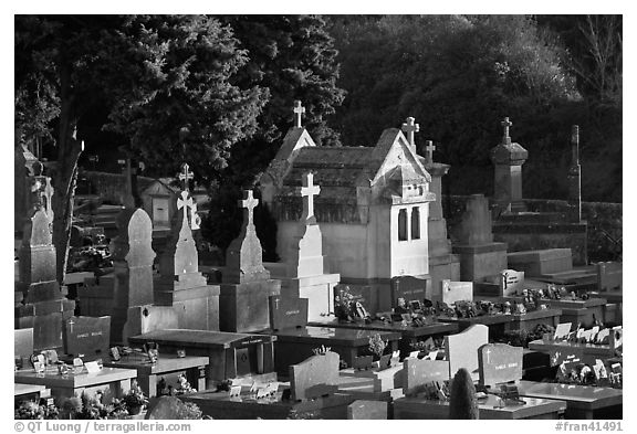 Cemetery. Carcassonne, France (black and white)