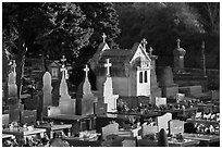 Cemetery. Carcassonne, France (black and white)