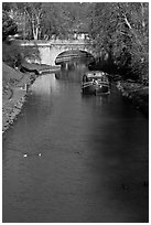 Ducks, barge and bridge, Canal du Midi. Carcassonne, France (black and white)