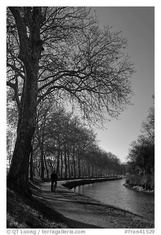Cyclist along Canal du Midi. Carcassonne, France (black and white)