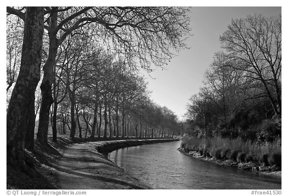 Rural section of Canal du Midi. Carcassonne, France (black and white)