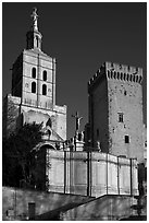 Romanesque Cathedral of Notre-Dame-des-Doms. Avignon, Provence, France ( black and white)