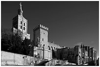 Cathedral of Notre-Dame-des-Doms and Palace of the Popes. Avignon, Provence, France ( black and white)