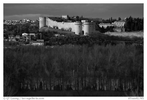 Ramparts across bare trees. Avignon, Provence, France (black and white)