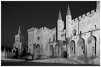 Palace of the Popes and Cathedral at night. Avignon, Provence, France ( black and white)