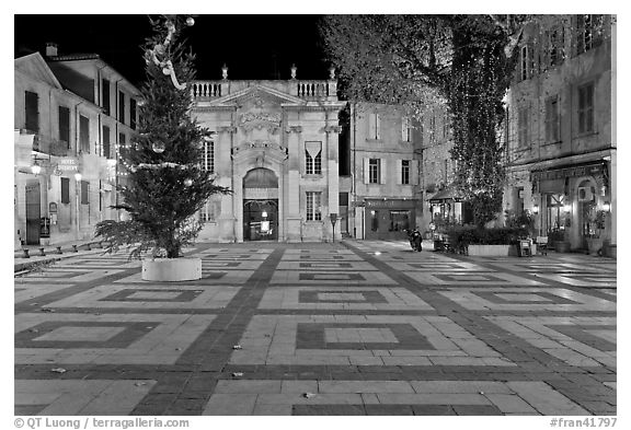 Place Crillion at night. Avignon, Provence, France (black and white)
