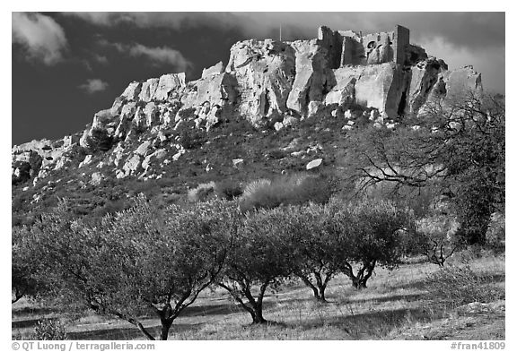 Olive trees and clifftop village, Les Baux-de-Provence. Provence, France (black and white)