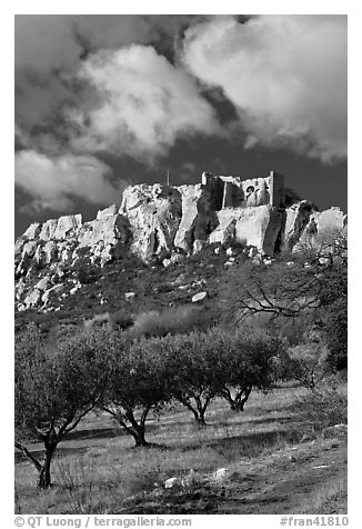 Olive orchard and village perched on cliff, Les Baux-de-Provence. Provence, France (black and white)