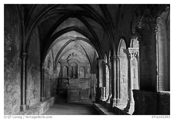St Trophime cloister. Arles, Provence, France (black and white)