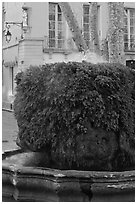 Fountain, Cours Mirabeau. Aix-en-Provence, France ( black and white)