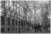Cours Mirabeau. Aix-en-Provence, France ( black and white)