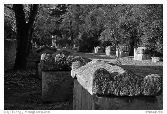 Burial grounds, Alyscamps necropolis. Arles, Provence, France (black and white)