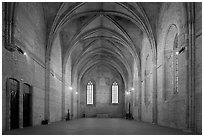 Chapel, Palais des Papes. Avignon, Provence, France ( black and white)