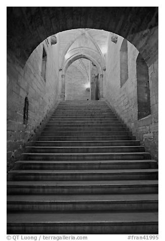 Stairs inside Palace of the Popes. Avignon, Provence, France (black and white)
