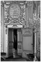 Fontainebleau Palace interior with richly decorated walls. France ( black and white)