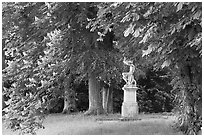 Sculpture, Horse chestnut trees (Aesculus hippocastanum), Chateau de Fontainebleau. France (black and white)