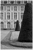 Hedged trees and facade, Palace of Fontainebleau. France (black and white)