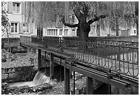 Bridge above canal lock and willow, Chartres. France (black and white)