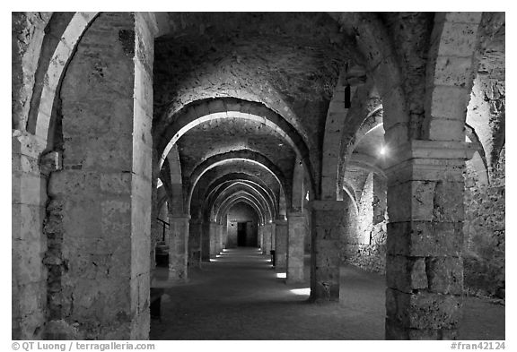 Vaulted lower room, Provins. France (black and white)