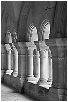 Detail of columns, the cloister, Fontenay Abbey. Burgundy, France ( black and white)