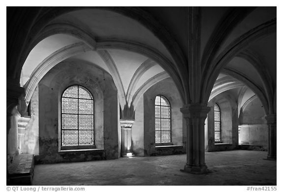 Rib-vaults, monks room, Cistercian Abbey of Fontenay. Burgundy, France