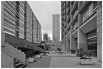 High-rise residential towers, Olympiades. Paris, France ( black and white)