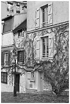 House with blue shutters and bare ivy, Montmartre. Paris, France ( black and white)