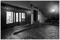 Gallery, street light, and coblestone pavement, Montmartre. Paris, France ( black and white)