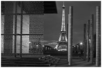 Peace monument and Eiffel Tower by night. Paris, France (black and white)