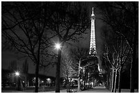 Trees in Champs de Mars and Eiffel Tower at night. Paris, France ( black and white)
