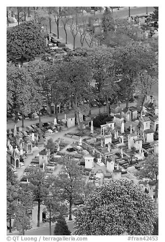 Aerial view of Montparnasse Cemetery. Paris, France (black and white)
