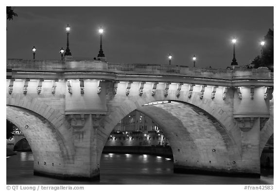 Pont-Neuf and lights by night. Paris, France (black and white)