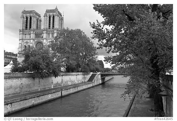 Seine and Notre-Dame facade in the spring. Paris, France