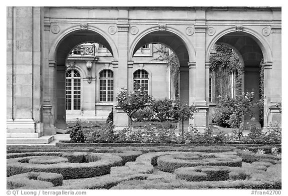 Hedges and roses in courtyard of hotel particulier. Paris, France (black and white)