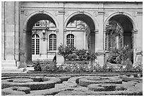 Hedges and roses in courtyard of hotel particulier. Paris, France ( black and white)