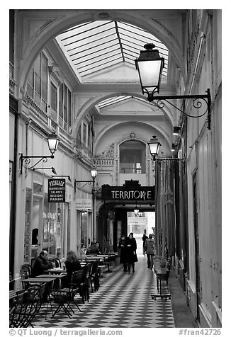 Covered passage between streets. Paris, France (black and white)