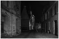 Projection on Palais Jacques Coeur and blue light in the streets. Bourges, Berry, France ( black and white)