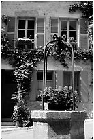 Flowers on a well, old  Vezelay. Burgundy, France ( black and white)