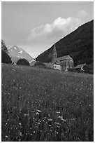 Meadow, Villar d'Arene village, ridge, sunset. France (black and white)