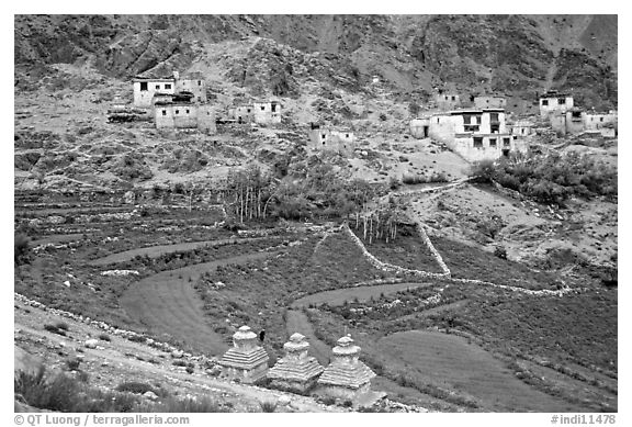 Chortens, cultivated terraces,  and village, Zanskar, Jammu and Kashmir. India (black and white)