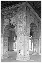 Decorated columns, Hammans, Red Fort. New Delhi, India ( black and white)
