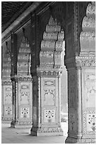 Marble columns,  Royal Baths, Red Fort. New Delhi, India (black and white)