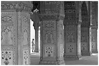 Row Columns and guard, Royal Baths, Red Fort. New Delhi, India ( black and white)