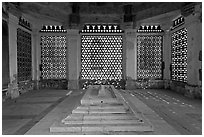 Tomb of Imam Zamin, Qutb complex. New Delhi, India ( black and white)