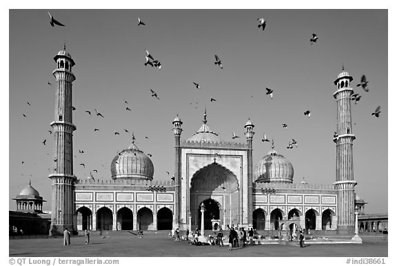 Jama Masjid with pigeons flying. New Delhi, India